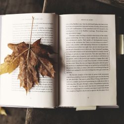 Maple leaf bookmark